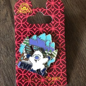 Disney Expedition Everest Trading Pin